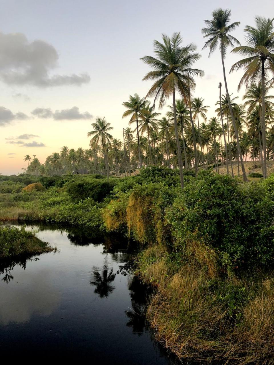 Lindo Village Imbassai Mata de Sao Joao Esterno foto